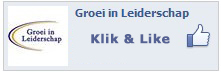 Facebook like Groei in Leiderschap